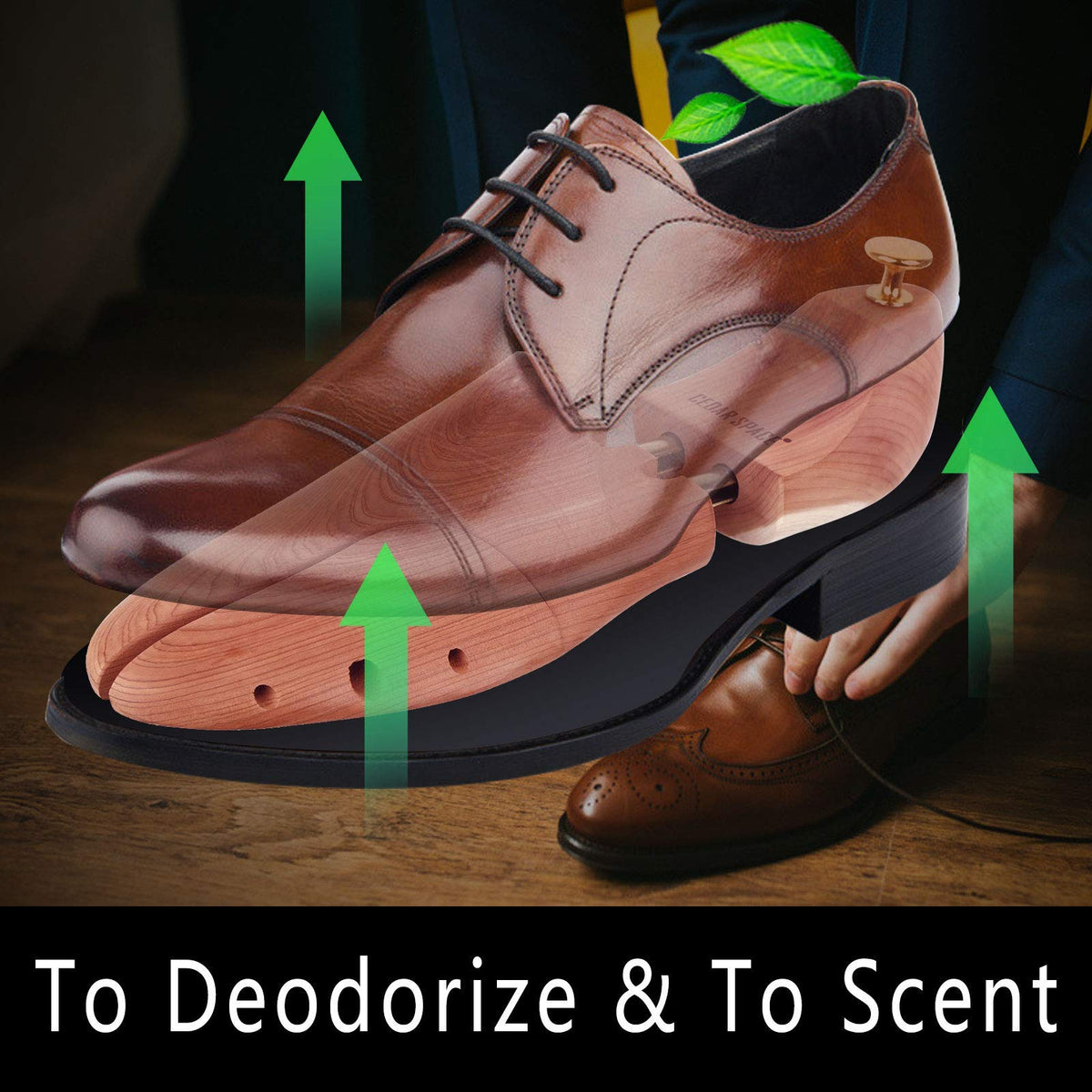 Cedar Space Cedar Shoe Trees for Men product photo 3