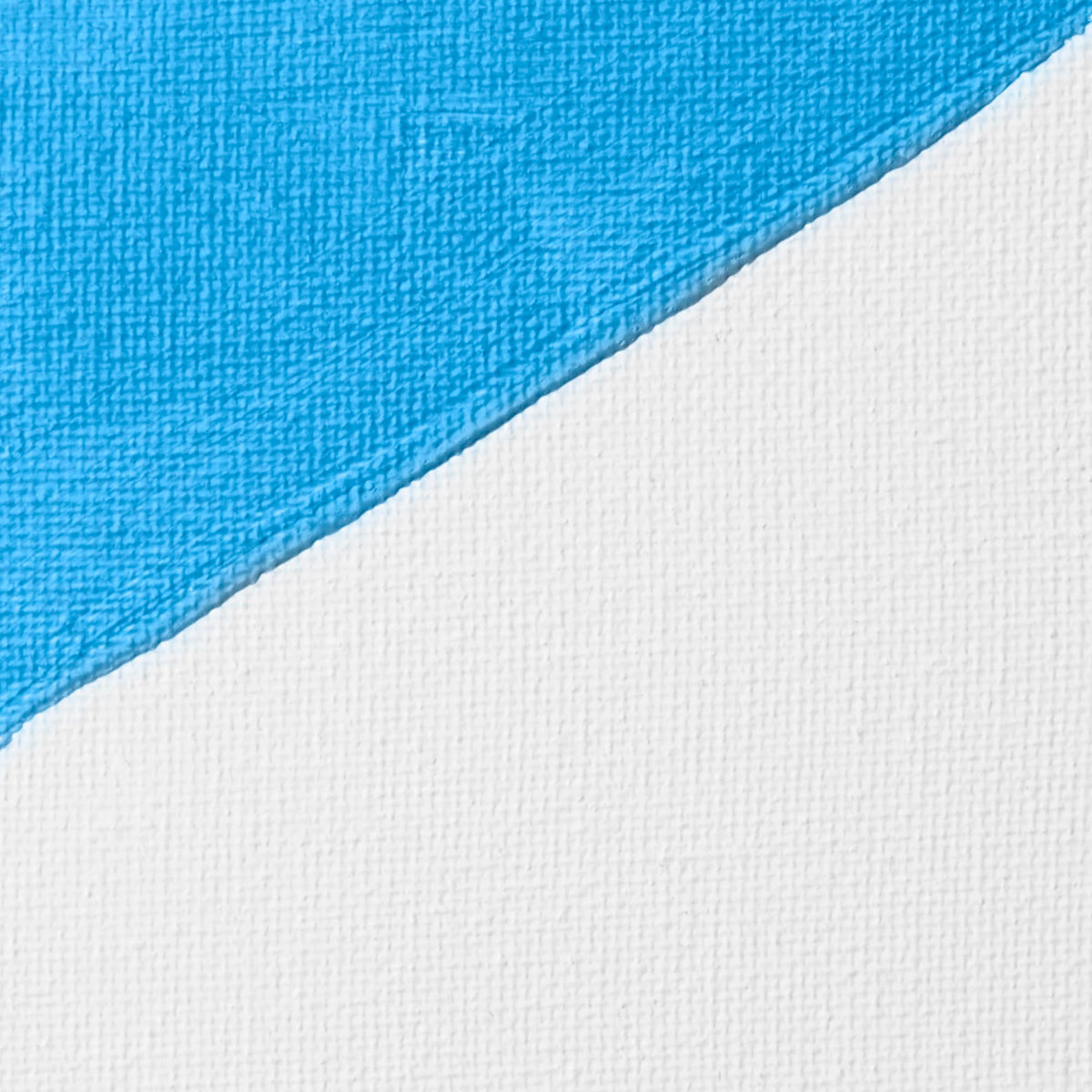 Liquitex Professional White Gesso