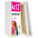 PHOENIX Skinny Stretched Canvas, 4x12 in, 9-Pack
