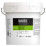 Liquitex Professional Modeling Paste, 8 oz