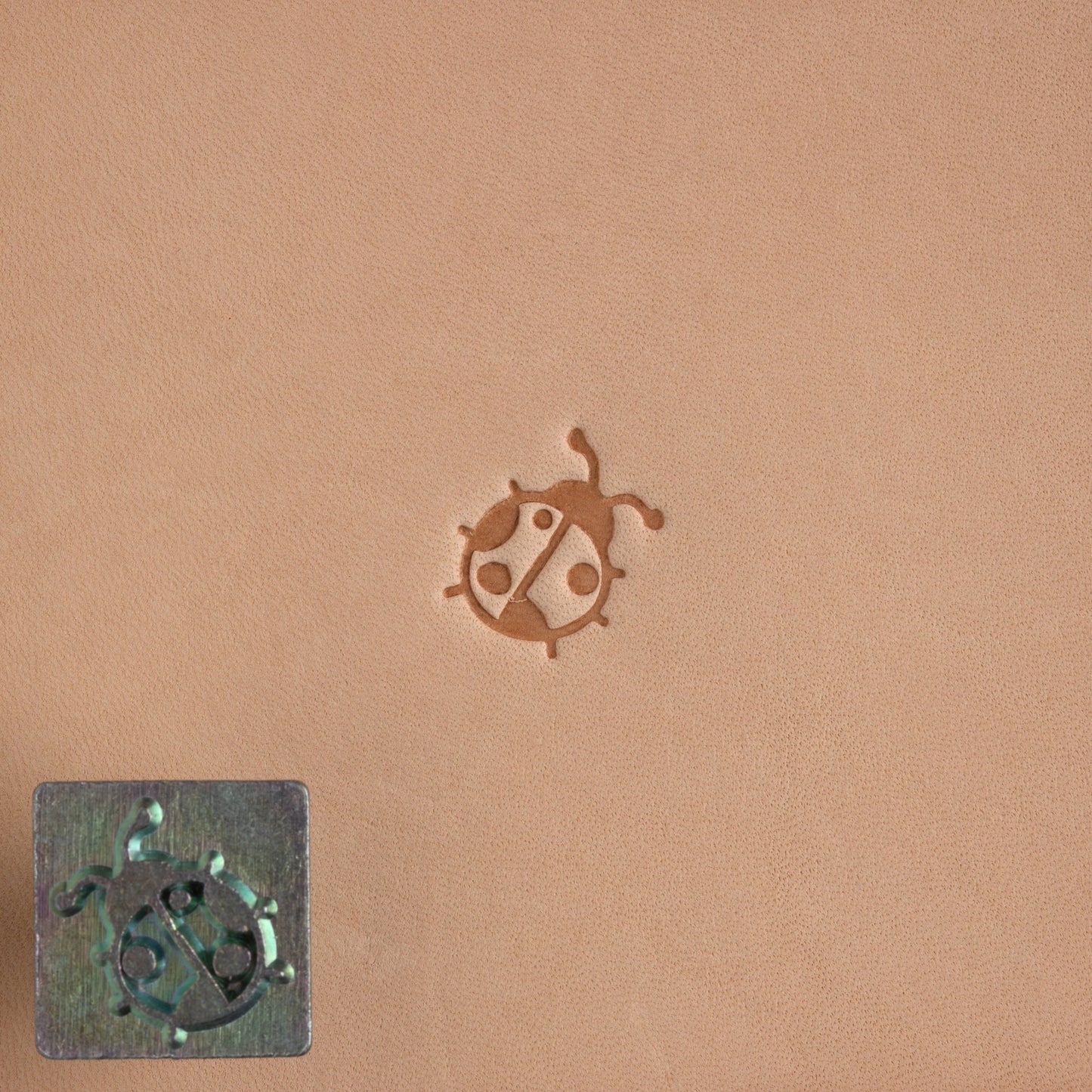 Mini 2D & 3D Leather Embossing Stamps – 27 Designs
