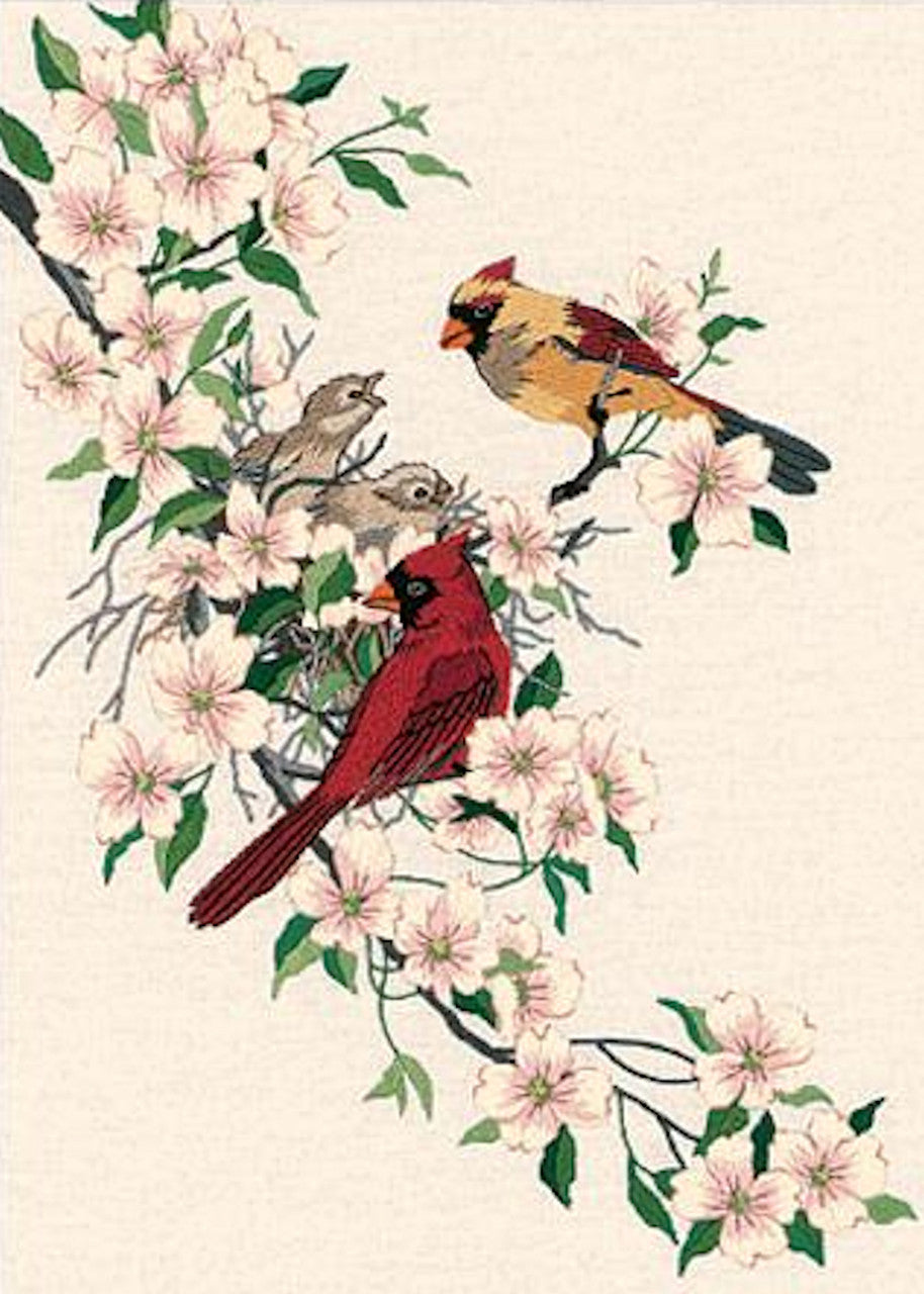 Dimensions - Cardinals in Dogwood