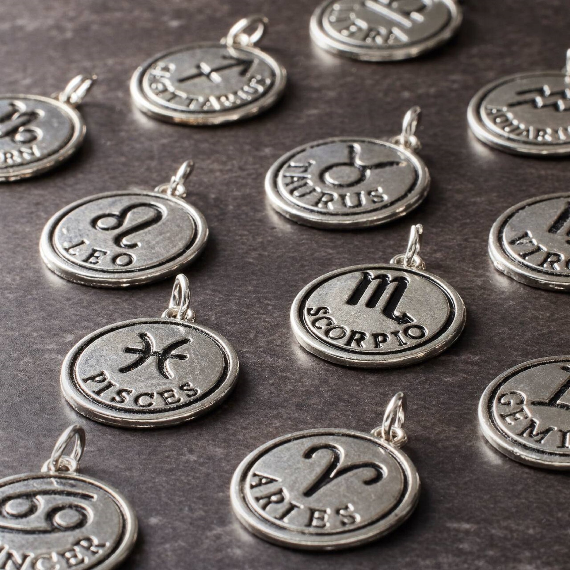 Rhodium-Colored Zodiac Charm Set by Bead Landing