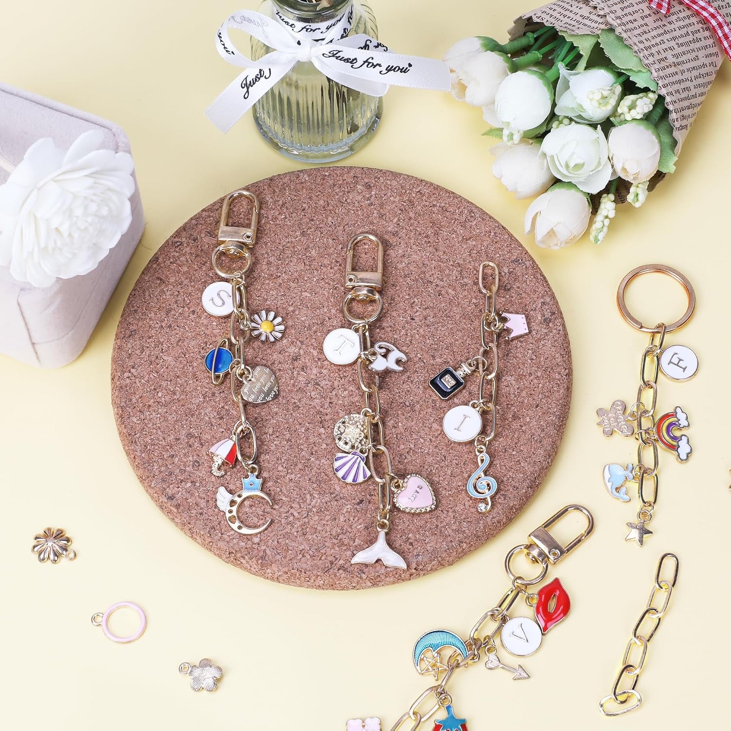 223Pcs Keychain Making Kit Bag Charm Kit 86 Charms 10 Keychain Clips with Key Ring Jewelry Plier,15 Extender Chain Swivel Snap Hooks Gold Charms 100 Jump Ring DIY Craft Supplies